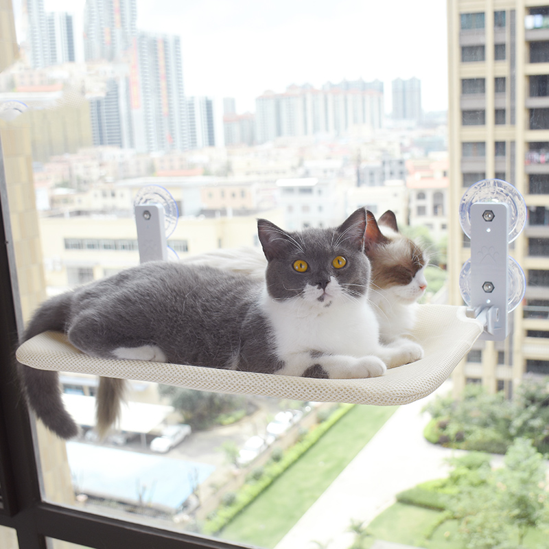 Cat Suction Cup Window Glass Hammock SECURECAN