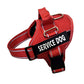 Personalization Of Pet Chest Strap Products - SECURECAN