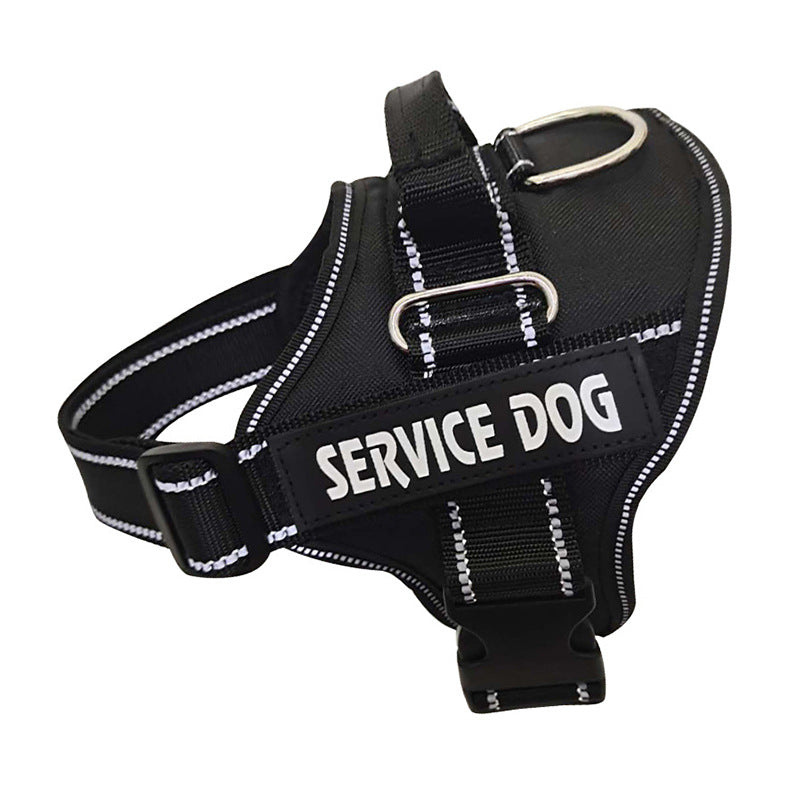 Personalization Of Pet Chest Strap Products - SECURECAN