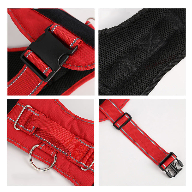 Personalization Of Pet Chest Strap Products - SECURECAN