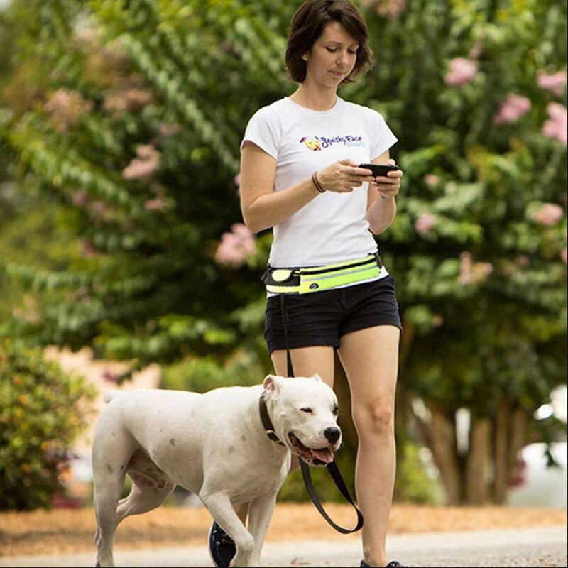 Hands Free Pet Walking And Training Belt With Shock Absorbing Bungee Leash - SECURECAN