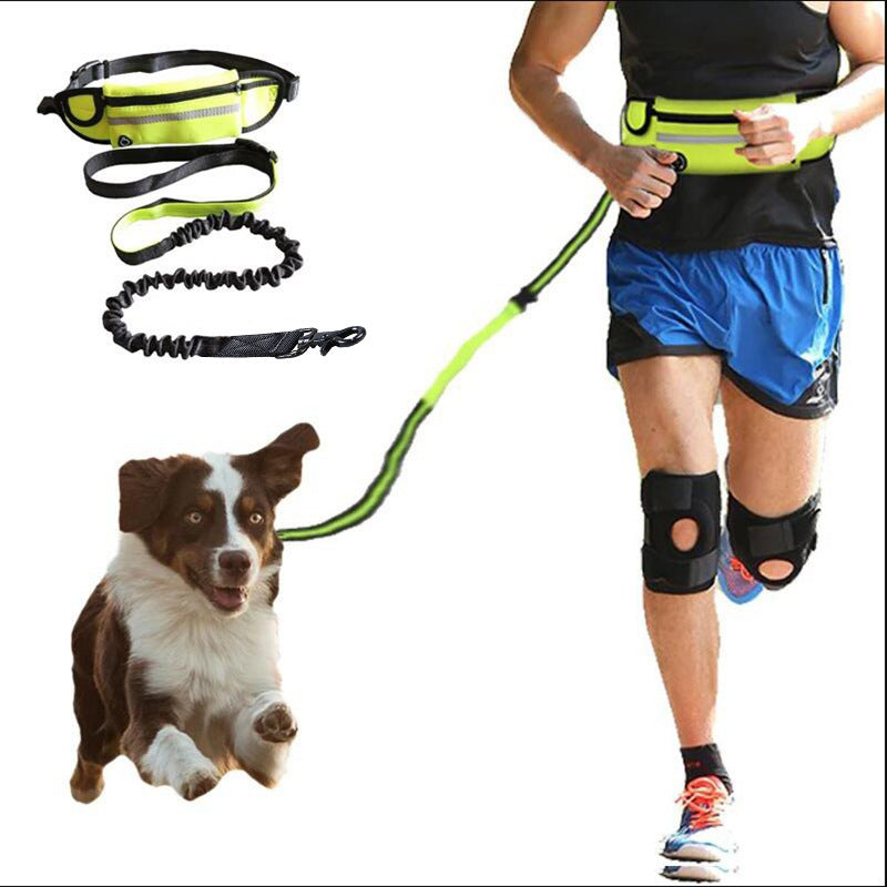 Hands Free Pet Walking And Training Belt With Shock Absorbing Bungee Leash - SECURECAN