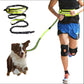 Hands Free Pet Walking And Training Belt With Shock Absorbing Bungee Leash - SECURECAN