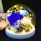 Eternal Flower Rose Glass Cover Gift Box Gift - SECURECAN