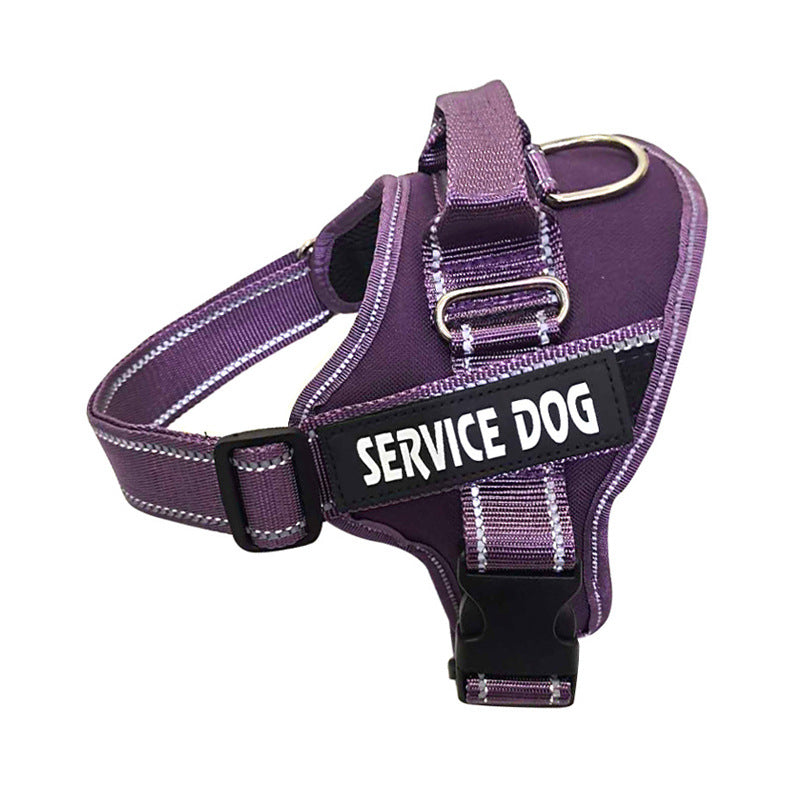 Personalization Of Pet Chest Strap Products - SECURECAN