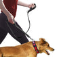 Pet Double Handle Pull Leash - SECURECAN