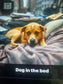 Dog in the Bed (Country Version)