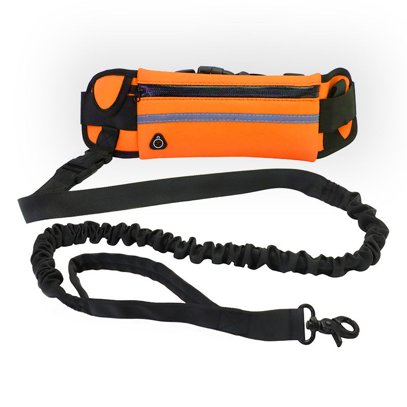 Hands Free Pet Walking And Training Belt With Shock Absorbing Bungee Leash - SECURECAN