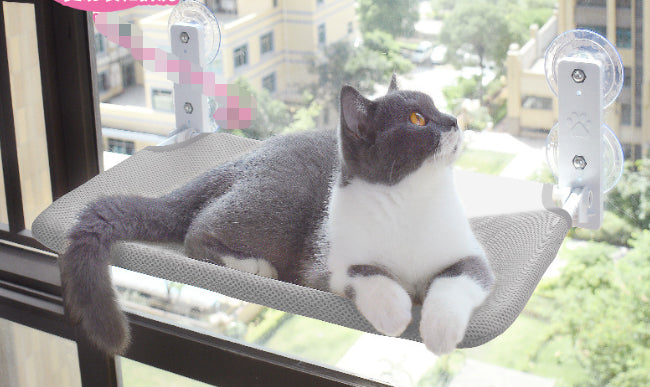 Cat Suction Cup Window Glass Hammock SECURECAN