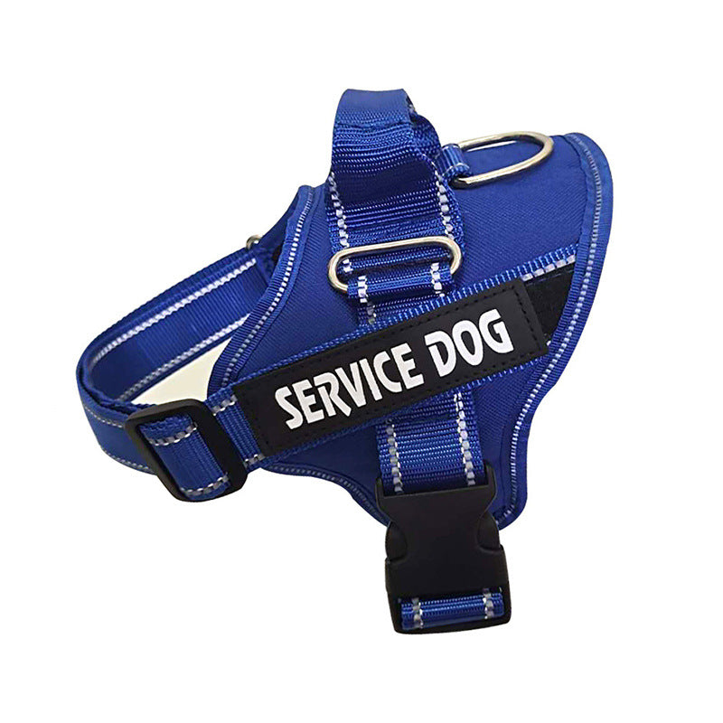 Personalization Of Pet Chest Strap Products - SECURECAN