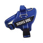 Personalization Of Pet Chest Strap Products - SECURECAN